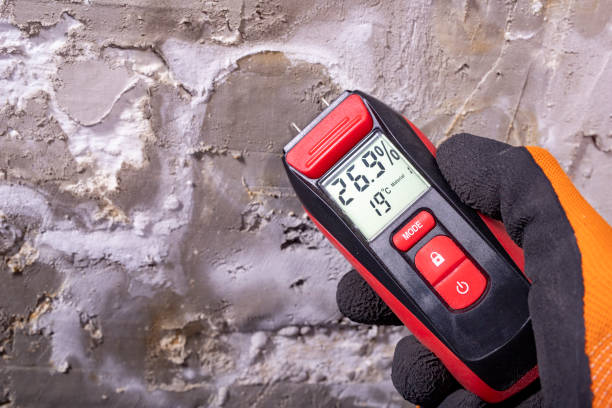 Best Certified Mold Removal  in Tlassee, AL