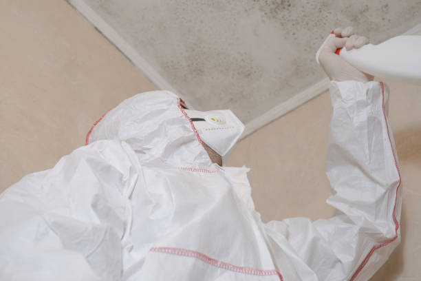 Best Mold Inspection  in Tlassee, AL