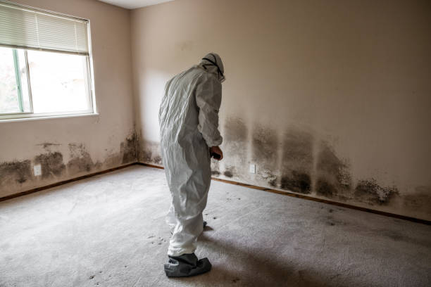 Water Damage Restoration in Tallassee, AL